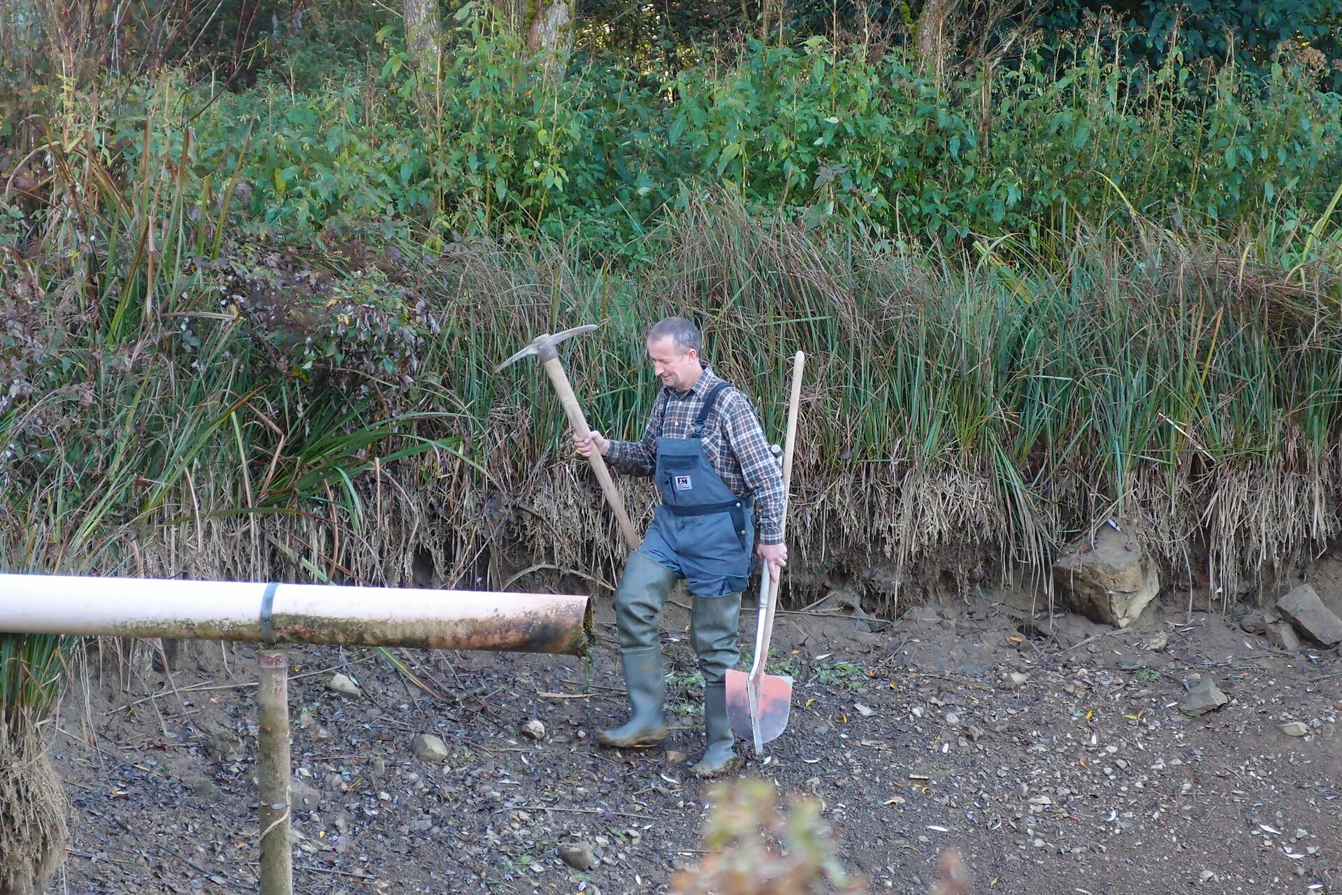 Galeriebild: PA183113